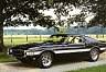 69shelby1.gif
